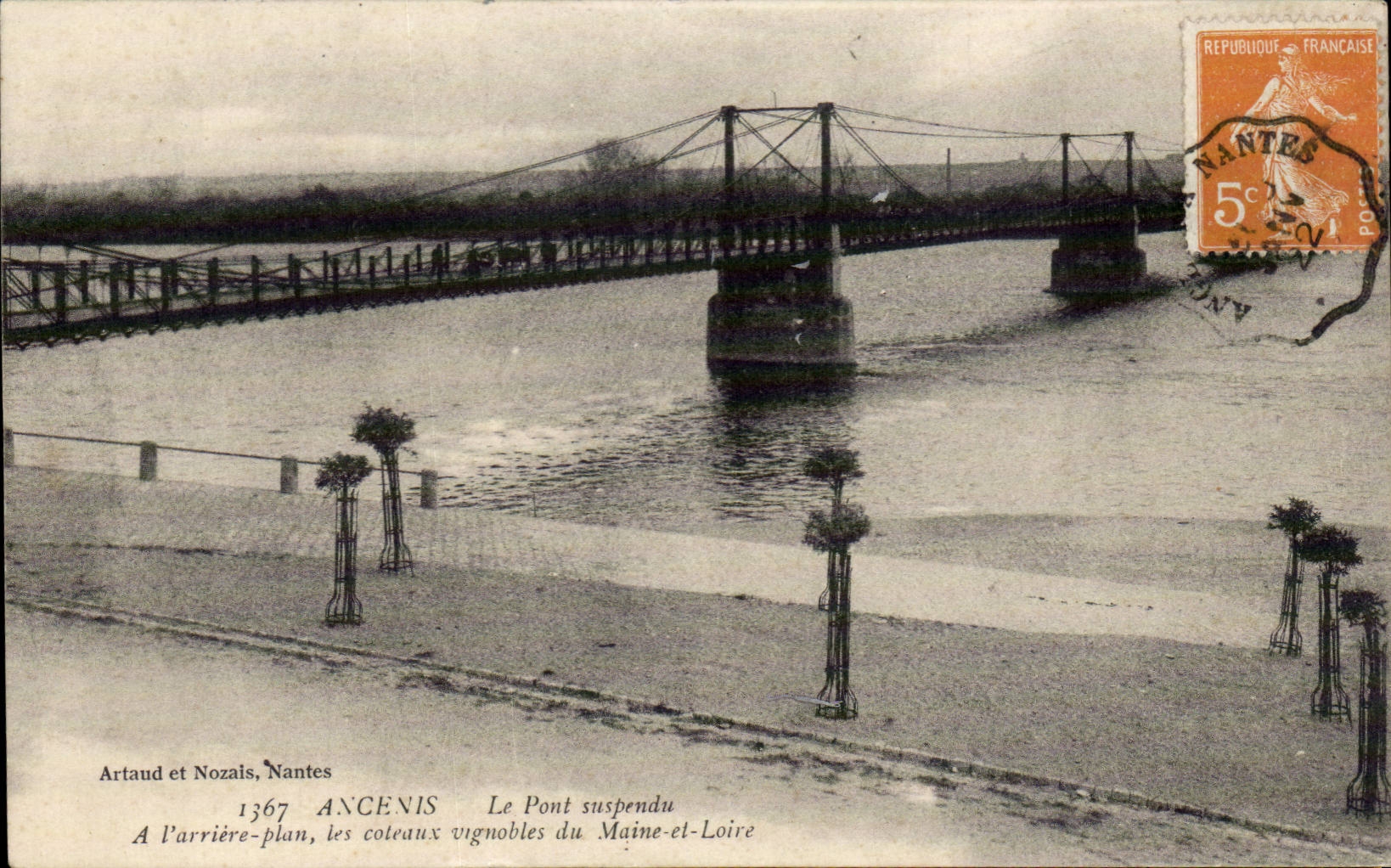 Ancenis - Le Pont Suspendu - Les Coteaux Vignobles du Maine et Noire - CPA 