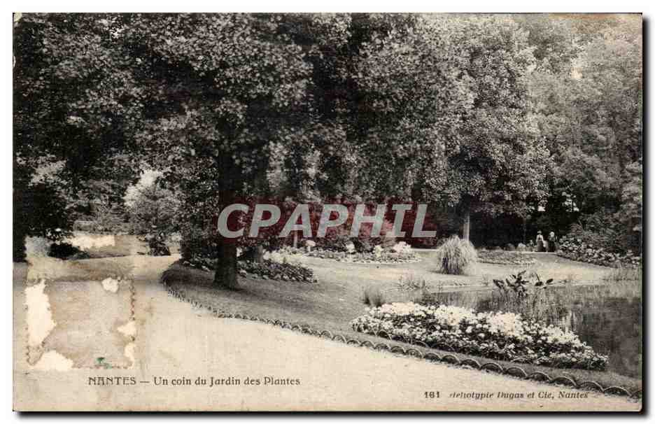 Nantes CPA Un coin du jardin des plantes