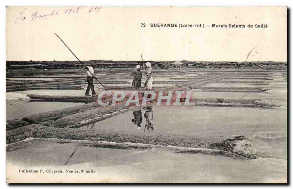 Guerande CPA Marais salants de Saille
