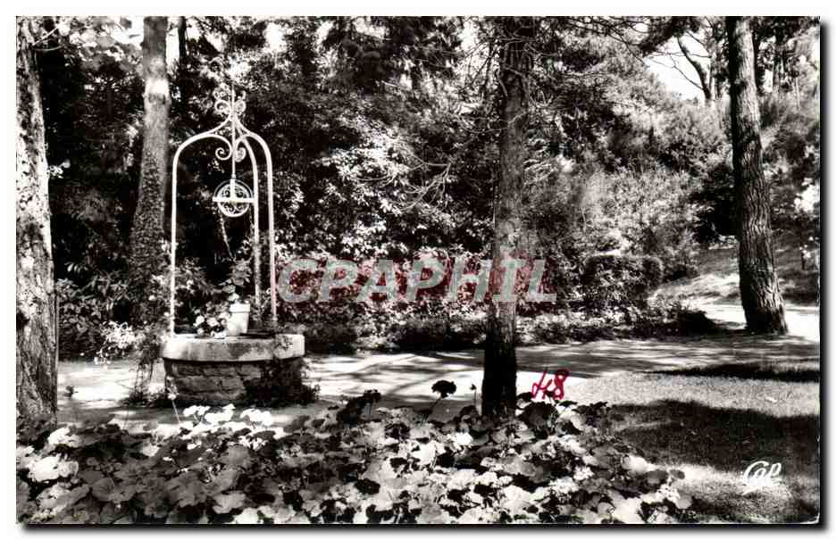 La Baule CPA Le parc des Dryades