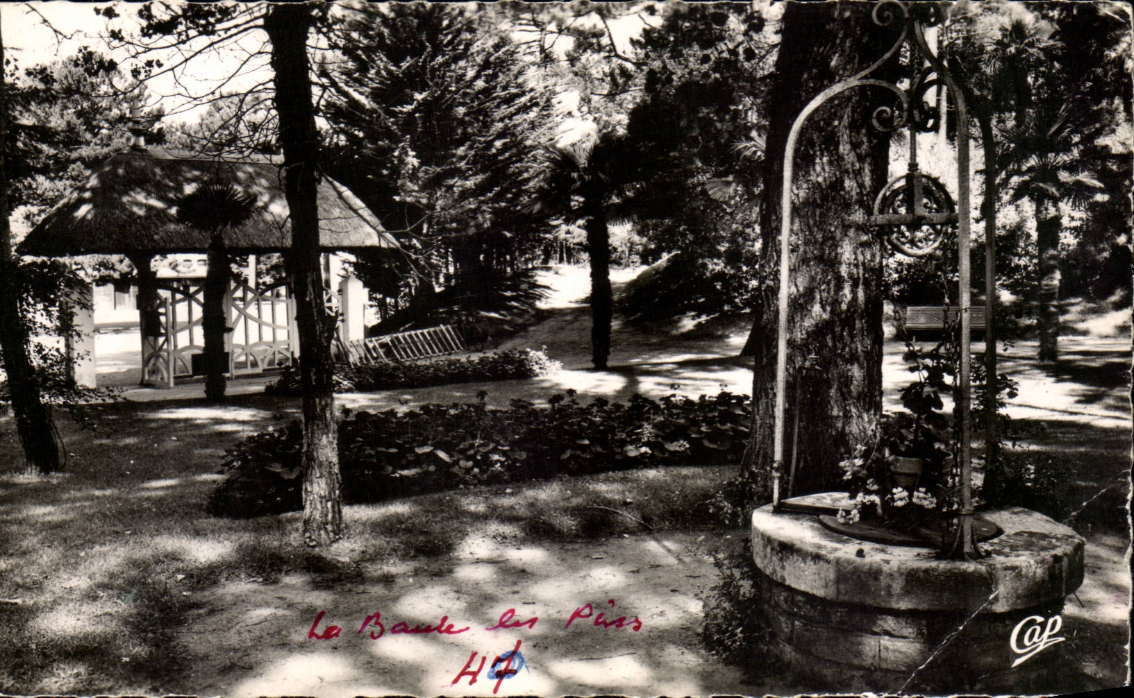 La Baule CPA parc des Dryades