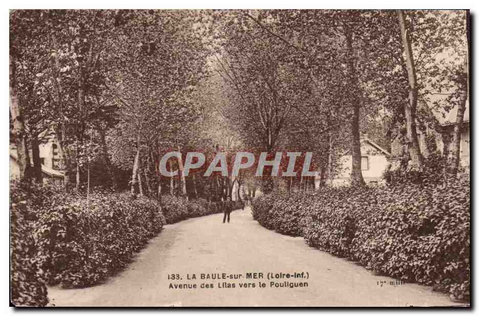 La Baule CPA Avenue des Lilas vers le Pouliguen