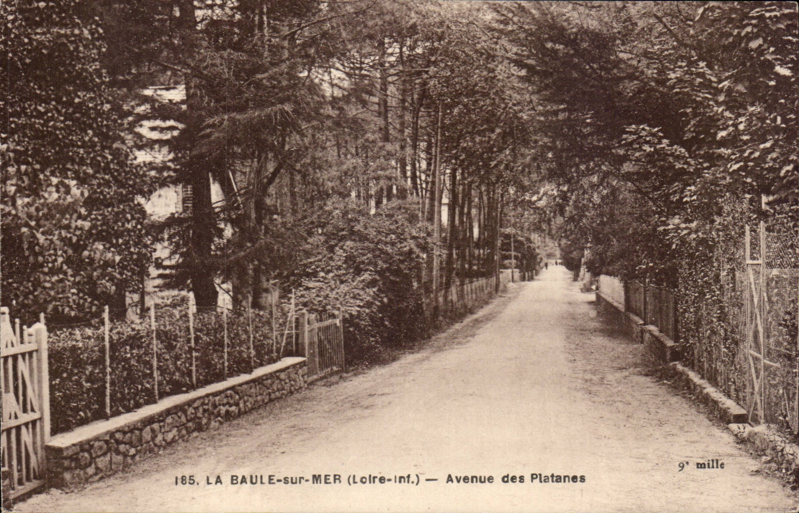 La Baule CPA Avenue des platanes