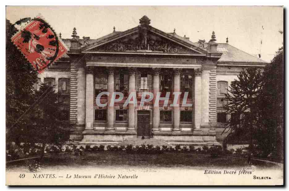 CPA Nantes Le Museum d'Histoire Naturelle 