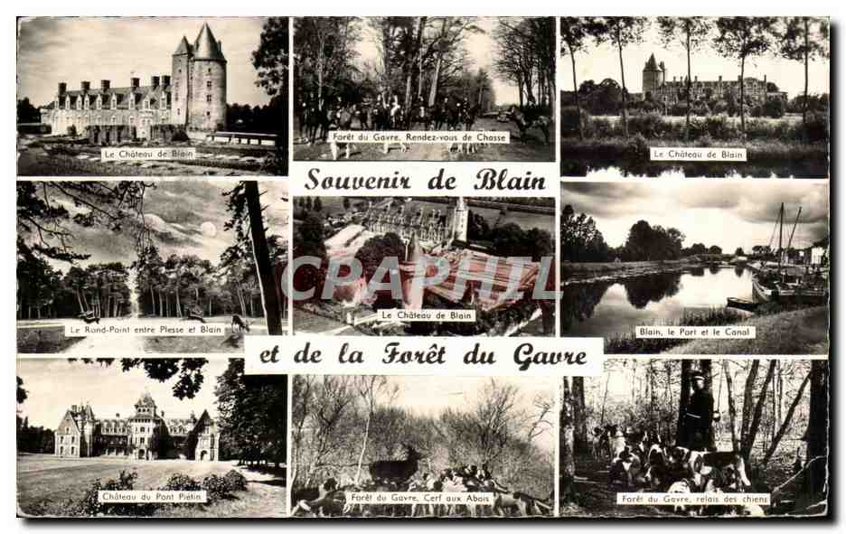 CPM Souvenir de Blain et d ela foret du Gavre