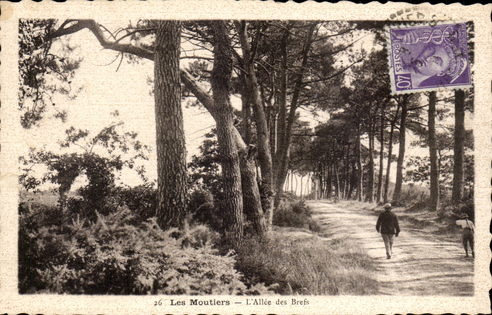 CPA Les Moutiers L'allee des Brefs