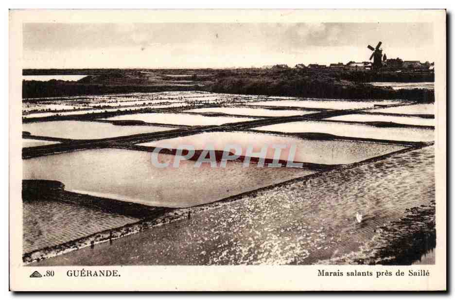 CPA Guerande Marais salants pres de SAille (moulin mill)