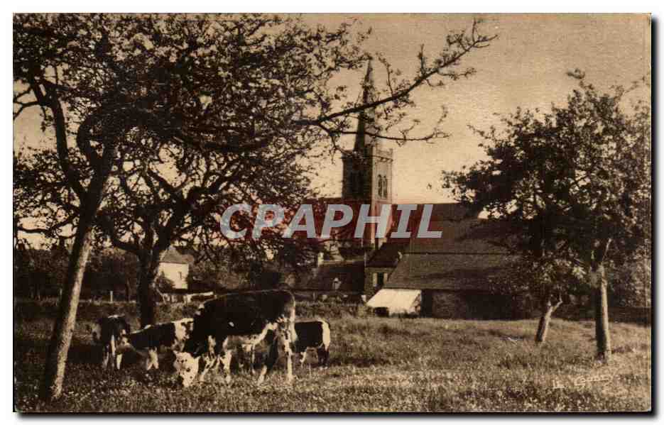 CPA La Normandie pittoresque Sous les pommiers (vaches)