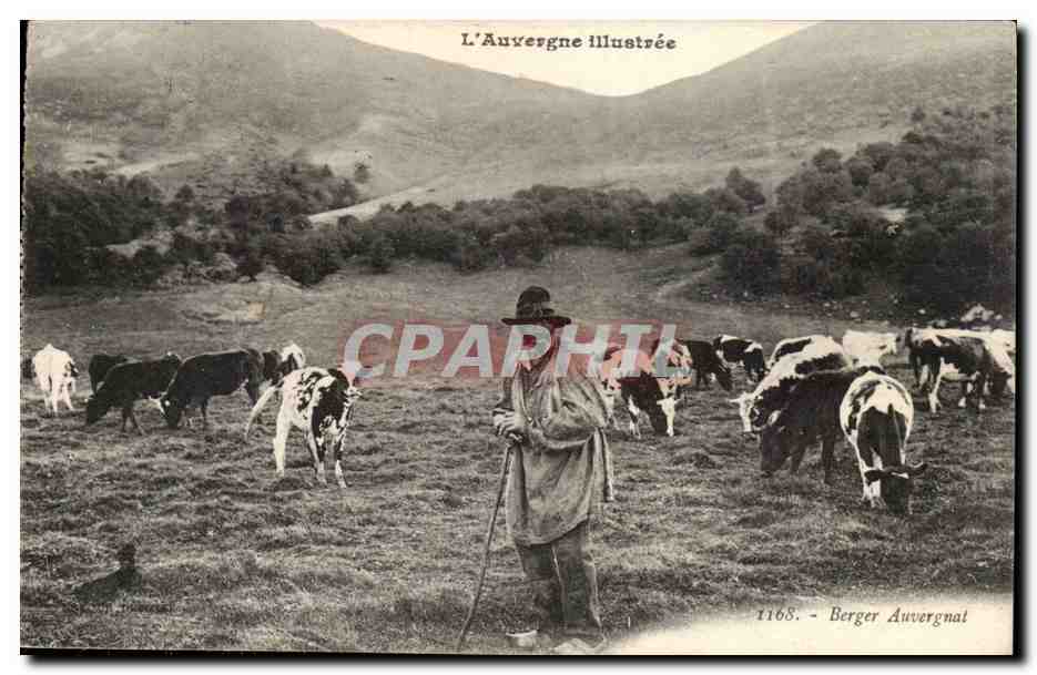 CPA Auvergne Berger Auvergnat (folklore coiffe costume vaches)