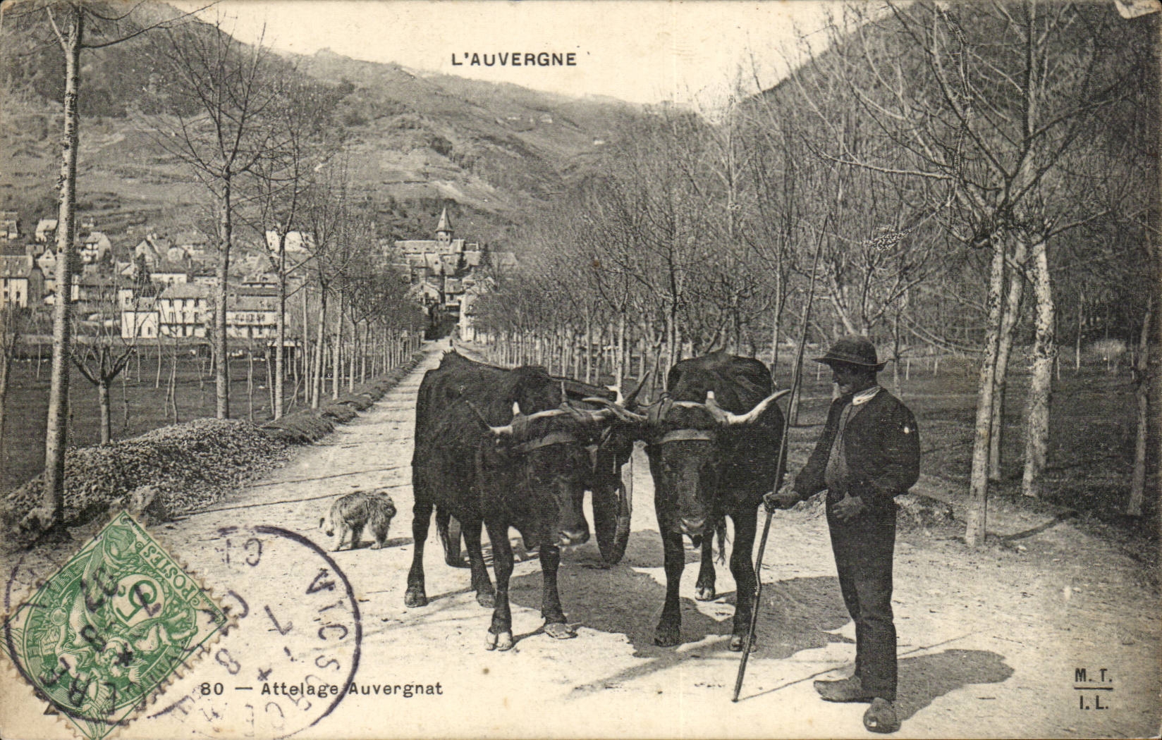 Types d'Auvergne CPA Attelage Auvergnat (folklore costume boeufs)
