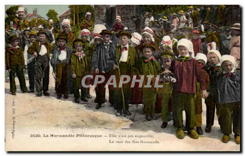 La Normandie Pittoresque — Elle n'est pas engourdie. La race des Gas Normands — Éditeur : Vaudrey Édit. St-Pierre-Église, n° 3120