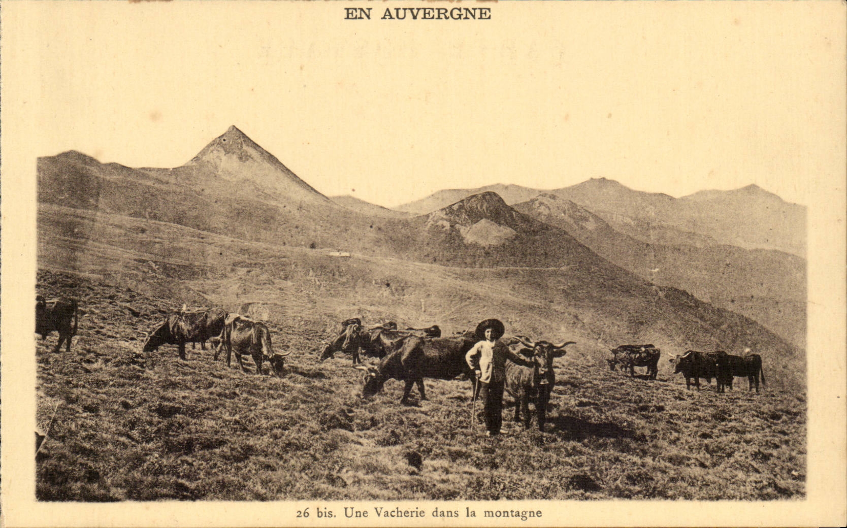 En Auvergne CPA Une vacherie dans la montagne (agriculture vaches elevage)