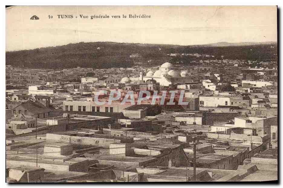 Tunisie Tunis CPA Vue generale vers le Belvedere