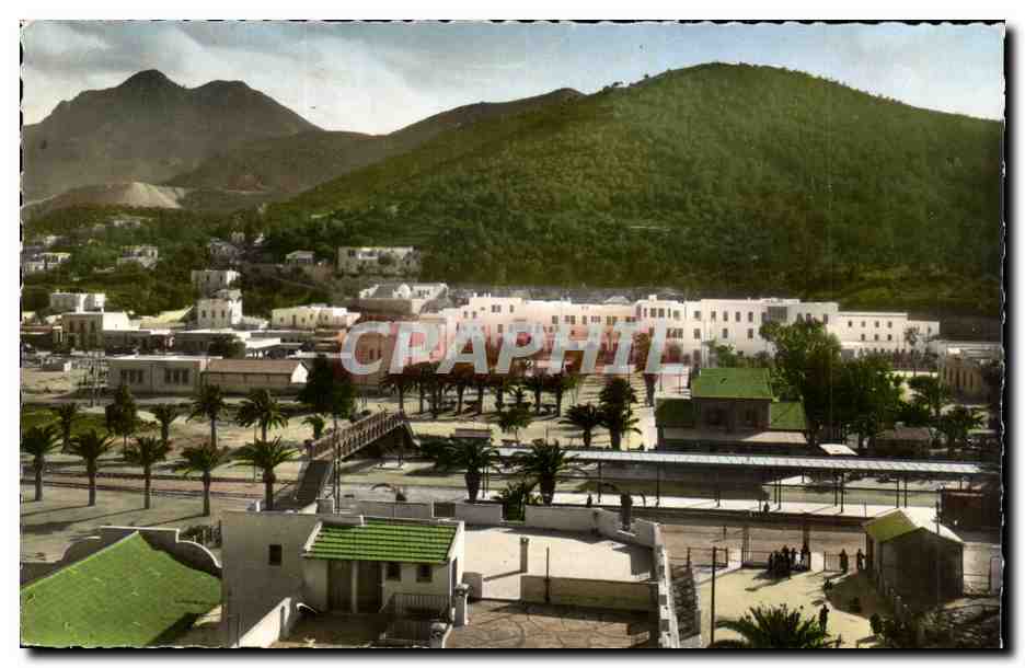 Tunisie CPM Hamman Lif Bou Kornine (vue generale)