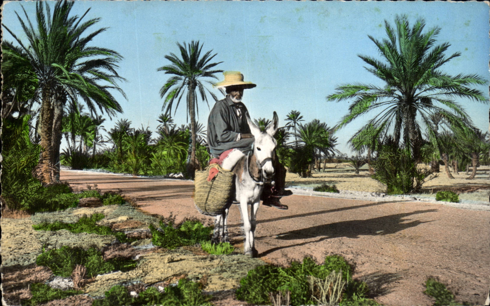 Tunisie Tunis CPA Djerba Scenes et paysages (ane donkey)