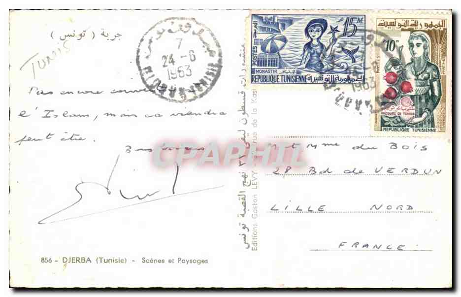 Tunisie Tunis CPA Djerba Scenes et paysages (ane donkey) — Verso