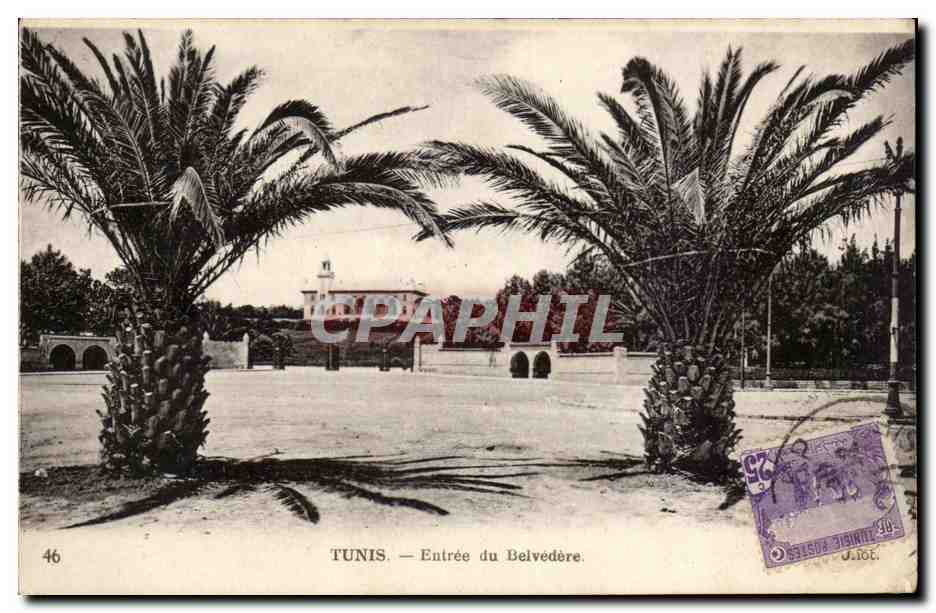 Tunisie Tunis CPA Entree du belvedere
