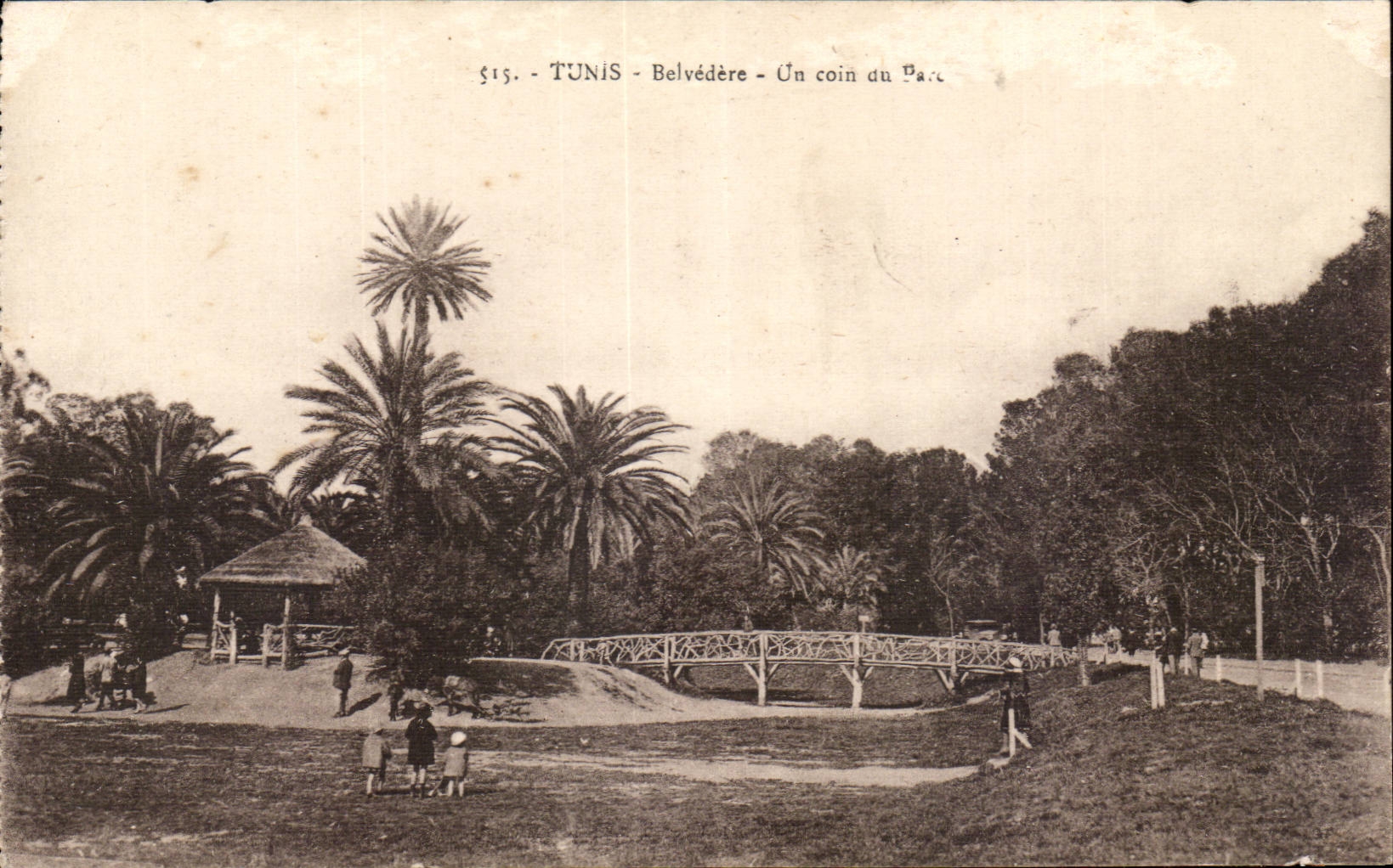 Tunisie CPA Tunis Belvedere un coin du parc