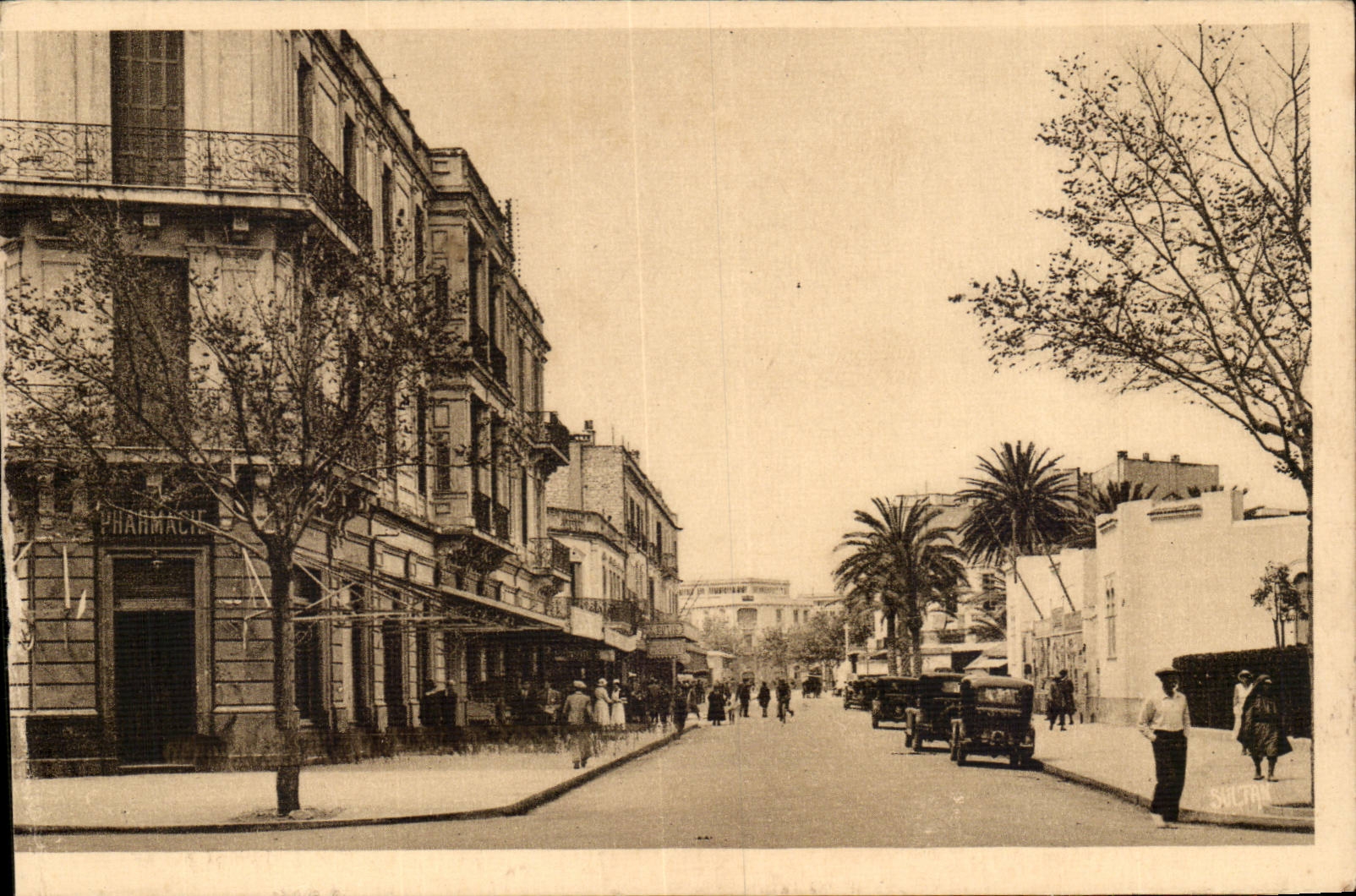 Tunisie CPA Bizerte Avenue de France