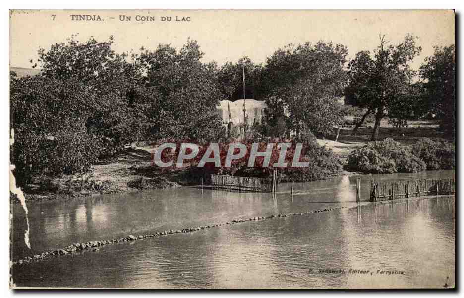 Tunisie CPA Tindja Un coin du parc