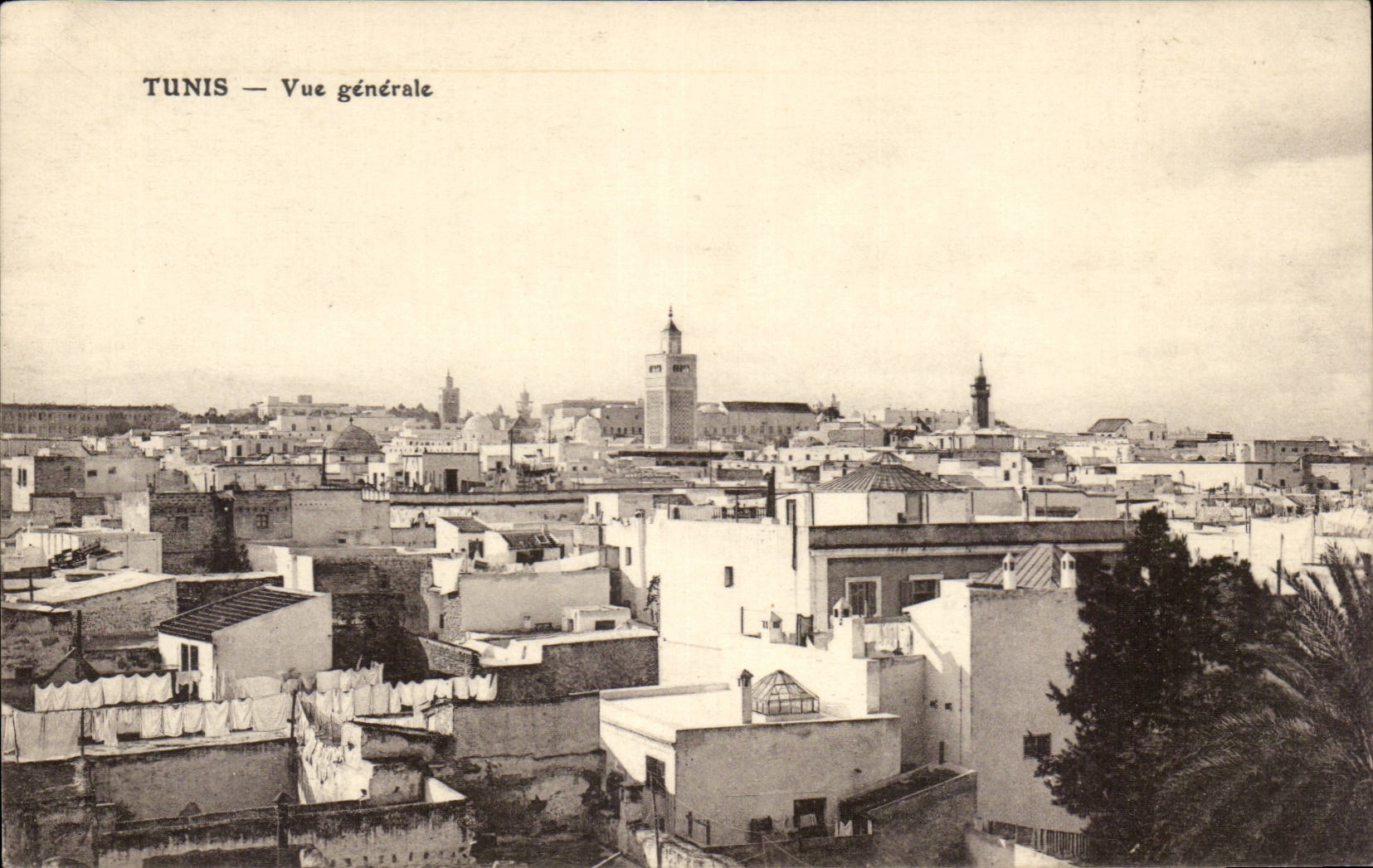 Tunisie CPA Tunis Vue generale