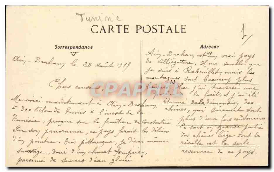 Ain-Draham — Récolte du liège de reproduction — Verso