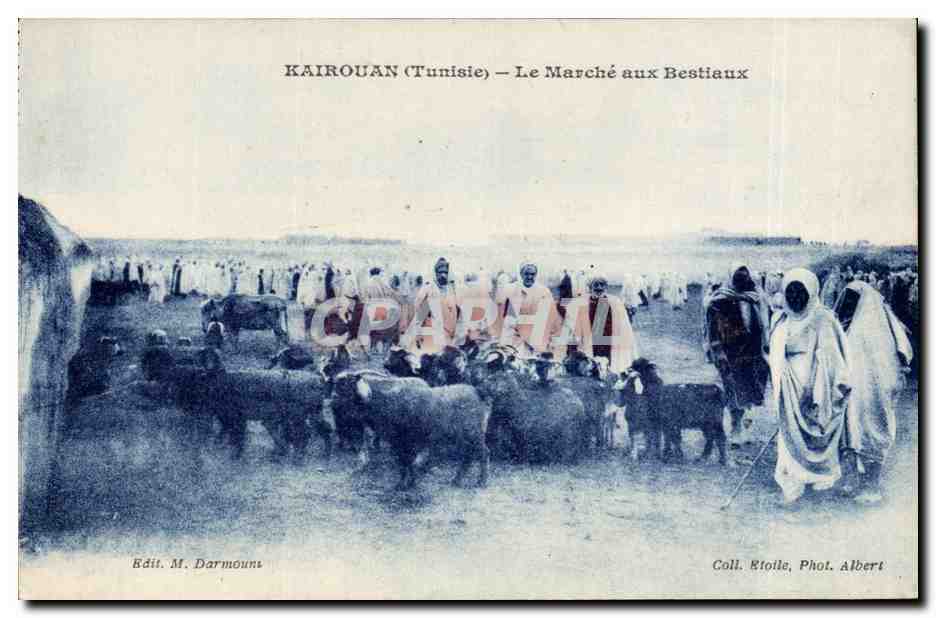 Tunisie CPA Kairouan Le marche aux bestiaux