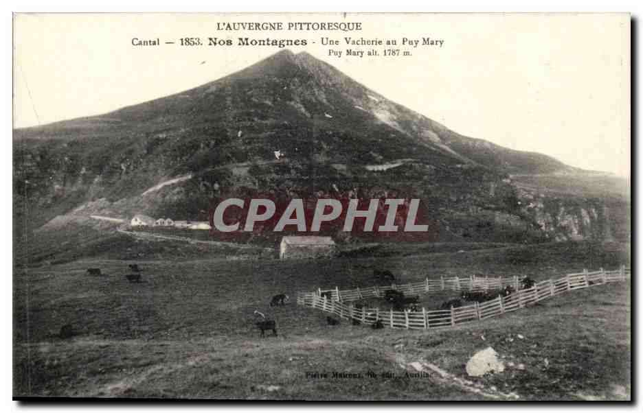 Auvergne CPa Une vacherie au Puy Mary