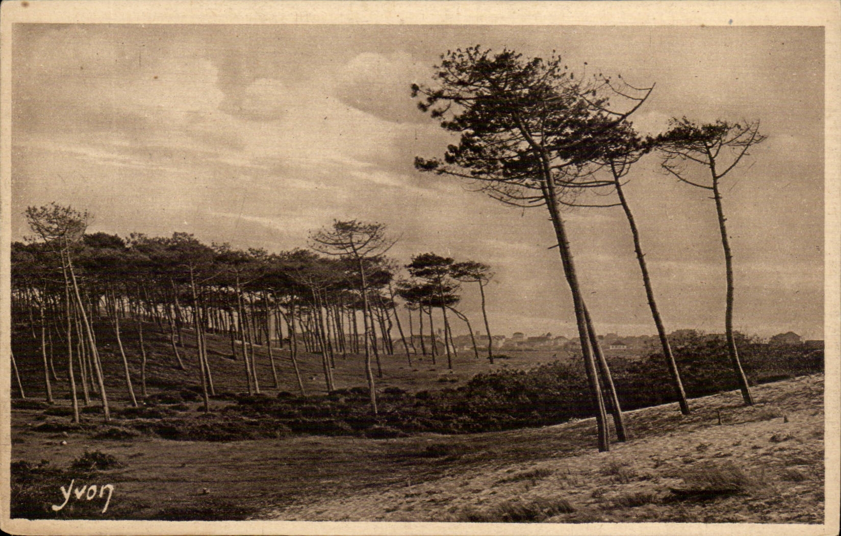 Les Pins de la Côte d'Argent — Les Landes de Gascogne à Cap-Breton — Édition d'Art YVON, Paris