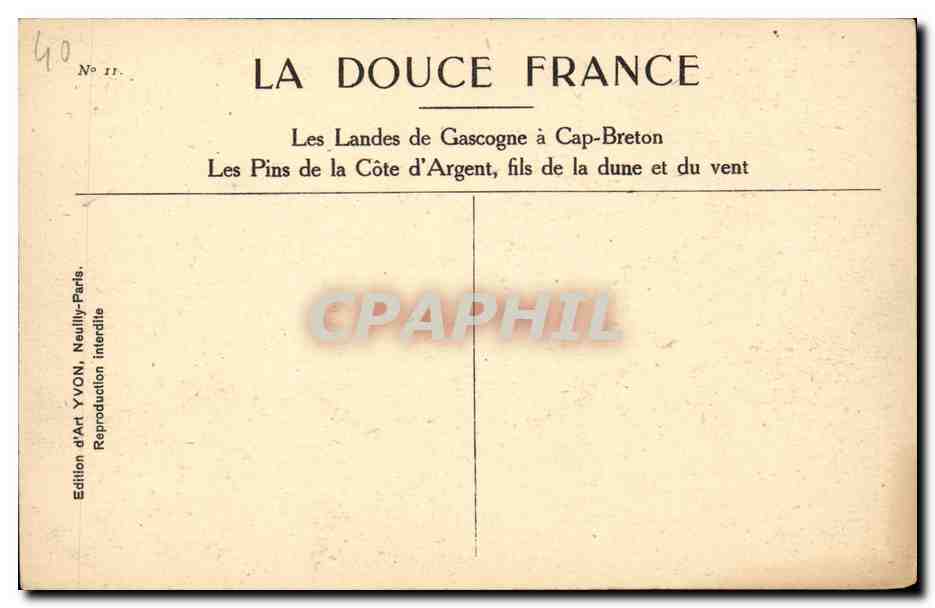 Les Pins de la Côte d'Argent — Les Landes de Gascogne à Cap-Breton — Édition d'Art YVON, Paris — Verso