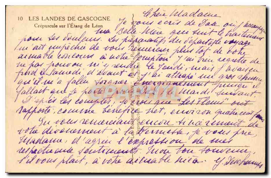Crépuscule sur l'Étang de Léon — Les Landes de Gascogne — Éditions Art Lyon — Verso
