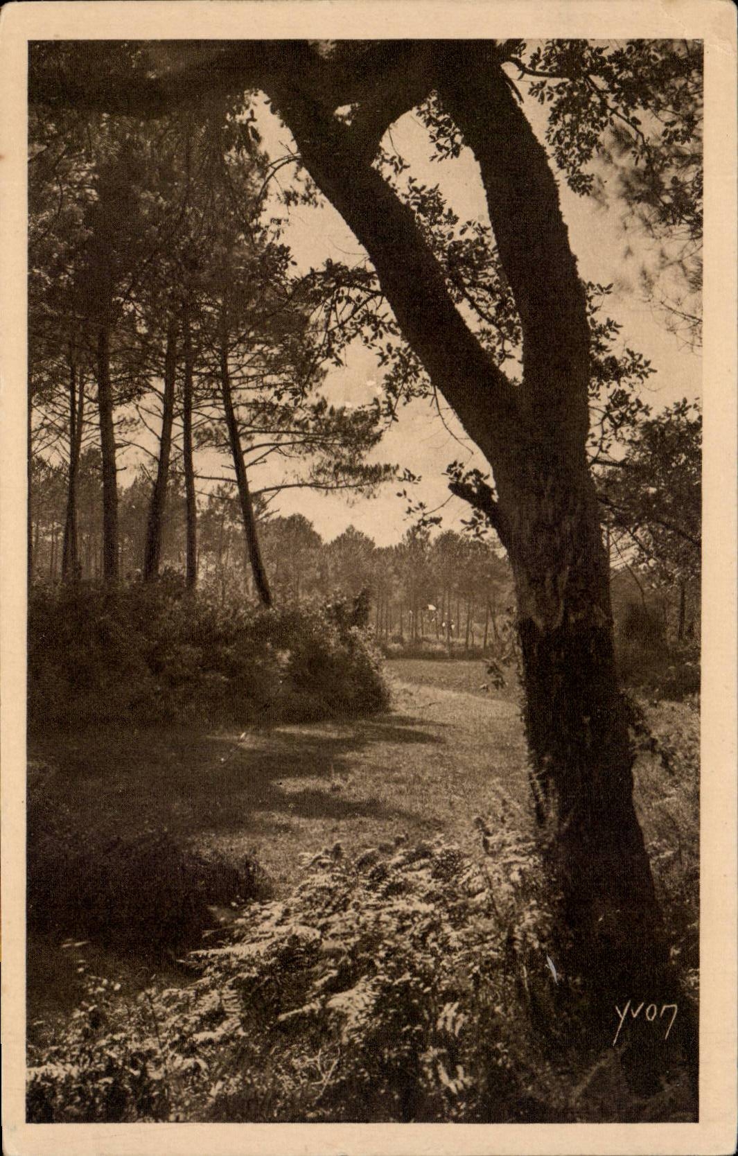 Les Landes de Gascogne — Paysage landais — Édition d'Art YVON, Paris