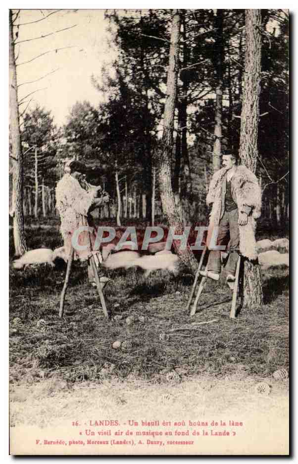 Landes CPA Un bieuil (bergers sur echasses moutons agriculture elevage)