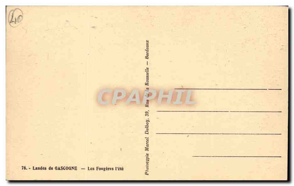 Landes de GAscogne CPA Les fougeres l'ete — Rückseite