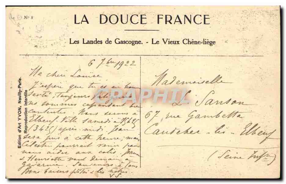 Les Landes de Gascogne CPA Le vieux chene liege — Rückseite