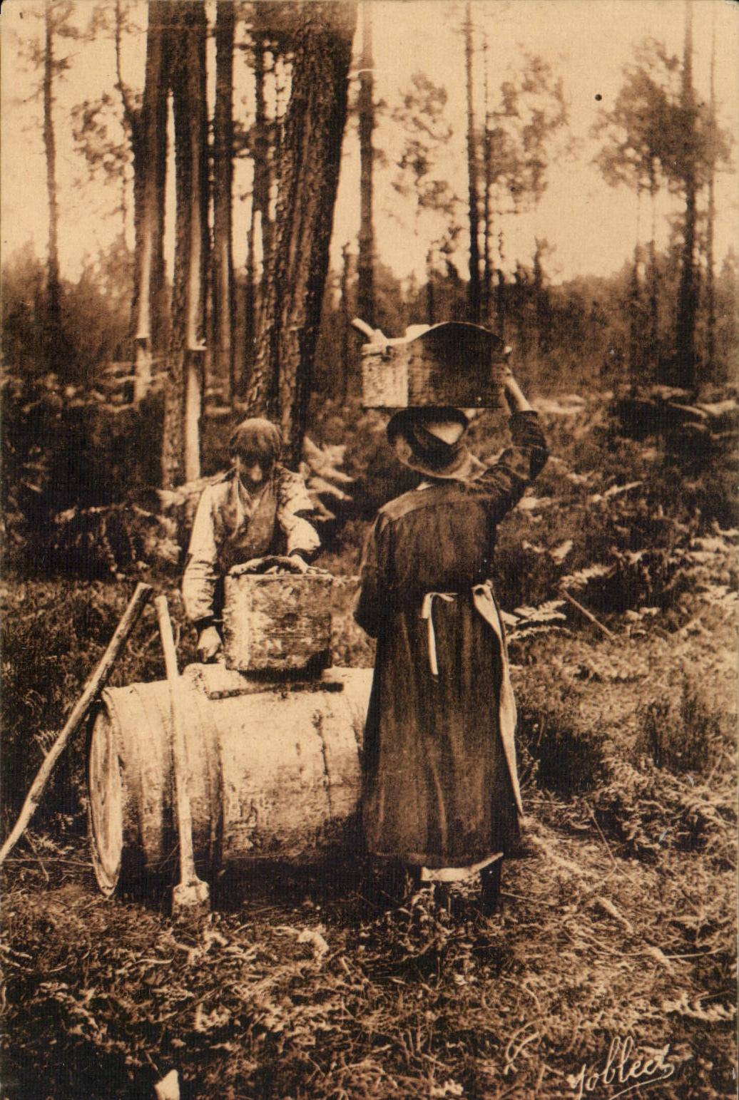 Dans les Landes de Gascogne CPA Remplissage d'une barrique de gemme