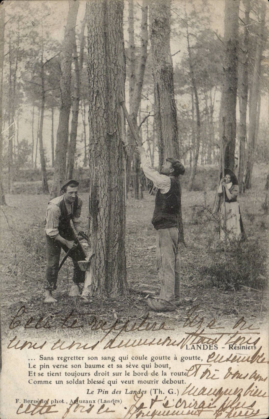 CPA Les Landes Le pin des Landes (resineurs)