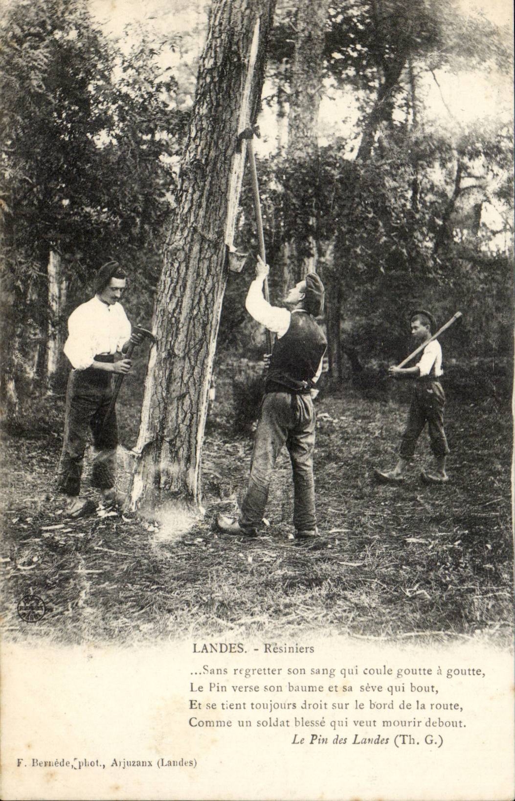 Landes CPA Resiniers (metier)