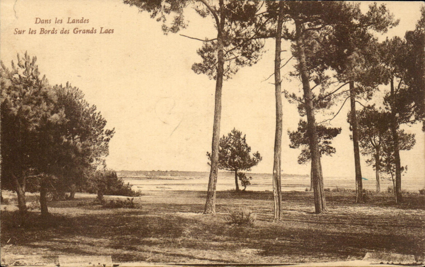 Dans les Landes — Sur les Bords des Grands Lacs — Biomotypie Gaurreau, Langon (Gironde)