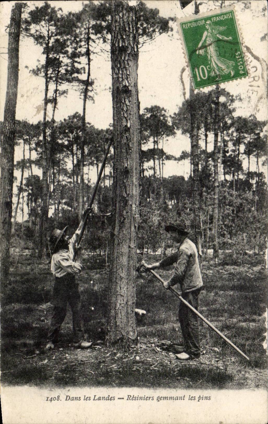 Dans les Landes CPA Resiniers gemmant les pins