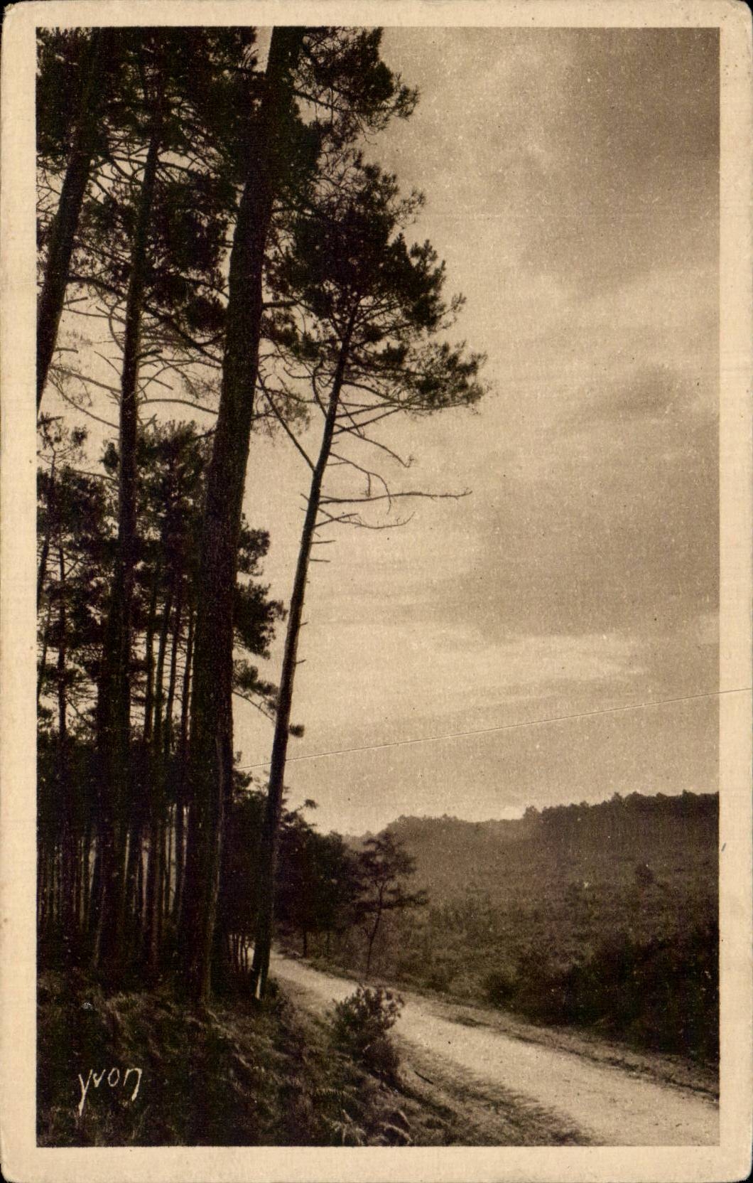 Les Landes de Gascogne — Lever de Soleil en Forêt — Édition d'Art YVON, Paris
