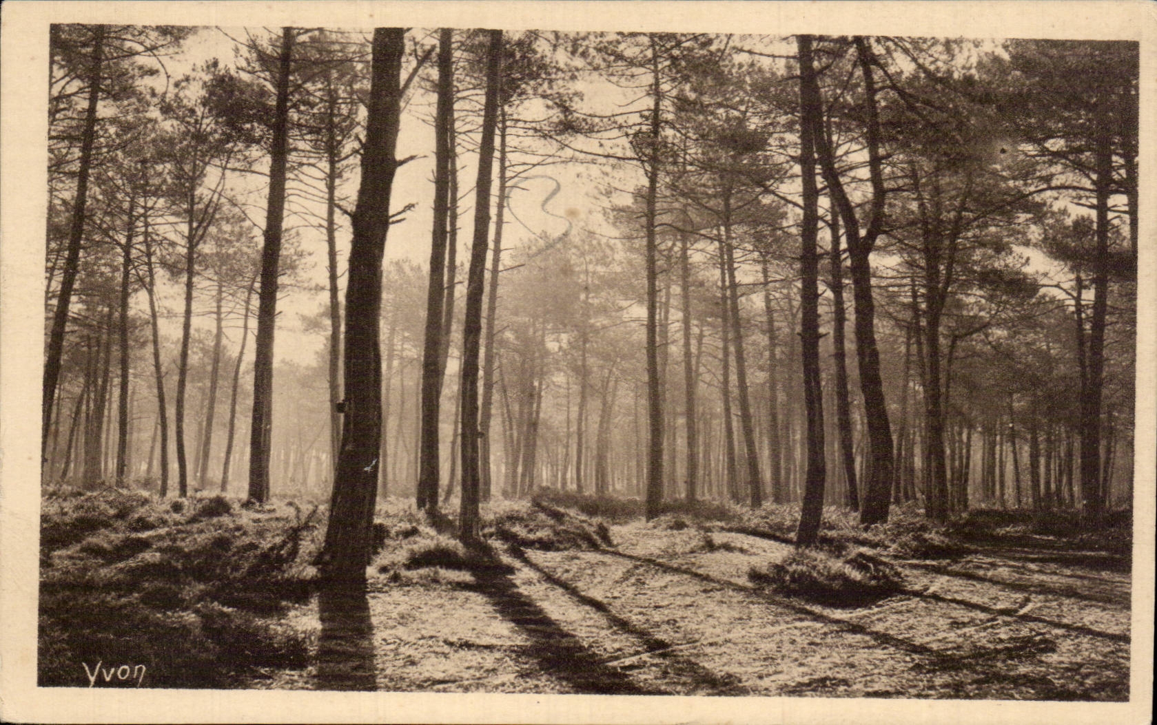 Les Landes de Gascogne — Dernier soleil d'Été, première brume d'automne — Édition d'Art YVON, No 55