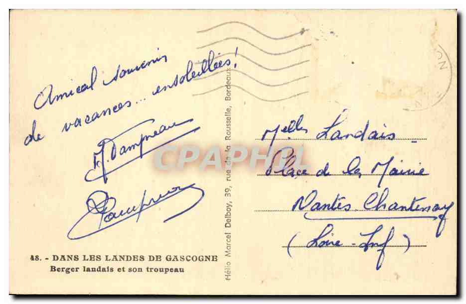 CPA Dans les Landes de Gascogne Berger landais et son troupeau — Rückseite