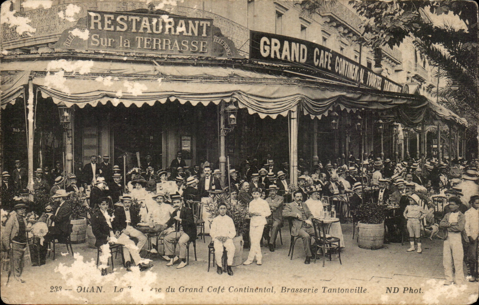 Algerie Oran CPa La terrasse du grand cafe Continental Brasserie Tantonville