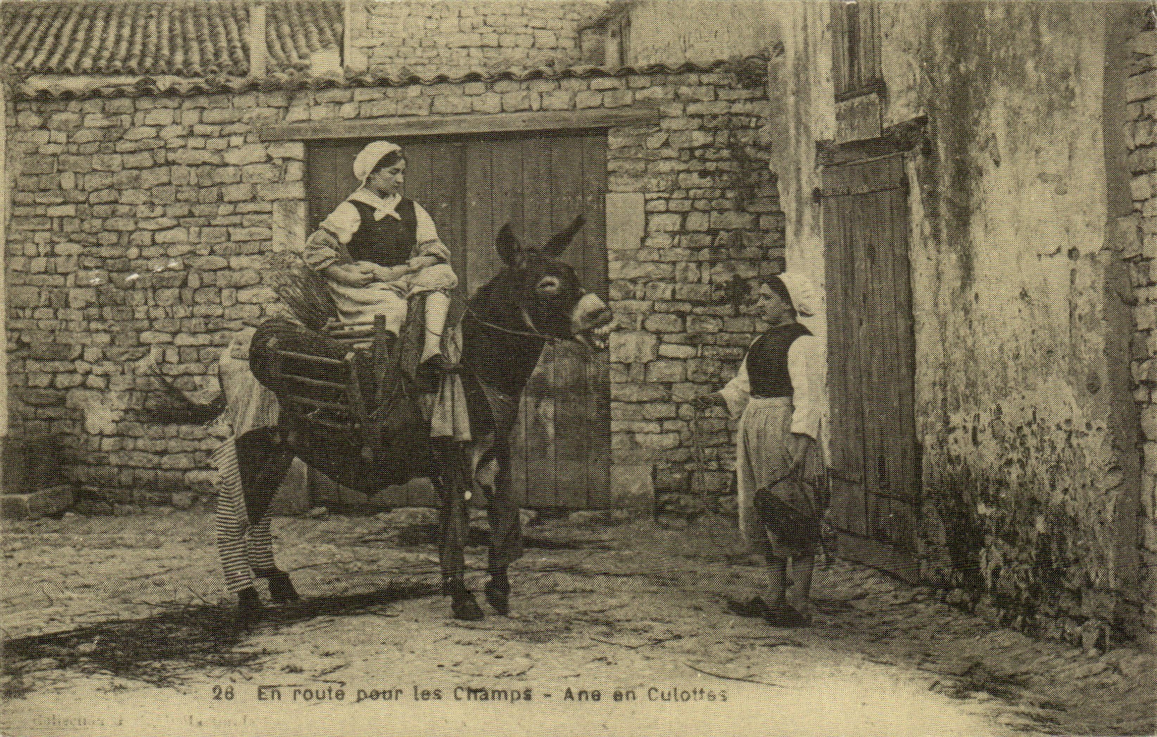 REPRODUCTION En route pour les champs Ane en culotte
