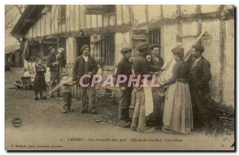 REPRODUCTION Landes Leu titouauille dou porc (heste de famille) lou benite (porc cochon pig)