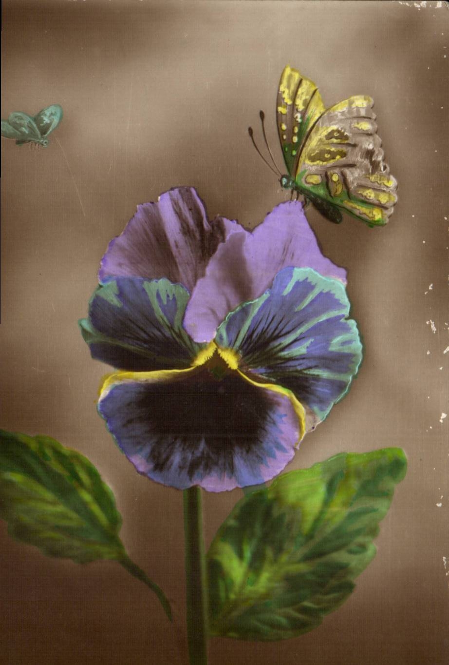 CPA Fantaisie Fleur Papillon (butterfly)