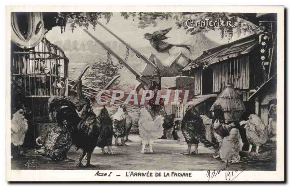 CPA Fantaisie Chantecler Acte I L'arrivee de la faisane (coq)