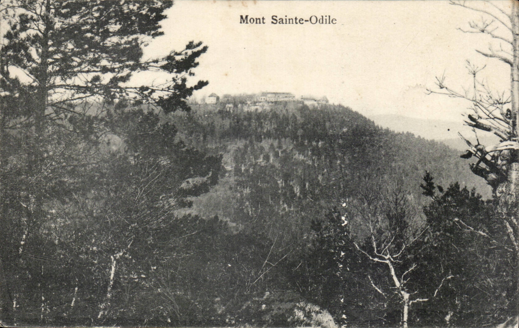 Mont Sainte-Odile — vue panoramique — éditeur Félix Taib, Strasbourg
