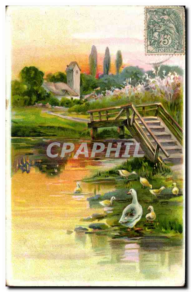 CPA Fantaisie Canard Canards Duck Ducks
